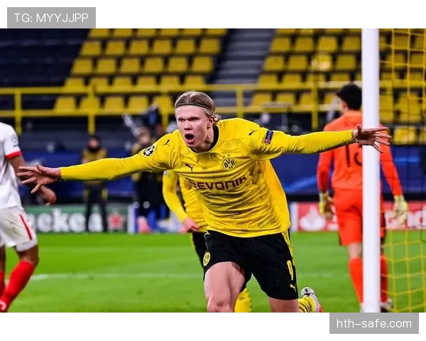 哈兰德转会费高达1亿欧元，迎来新征程的表现值得关注